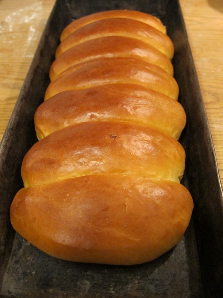 Ein Blech mit frisch gebackenen, goldbraunen Brötchen in einer Reihe angeordnet.
