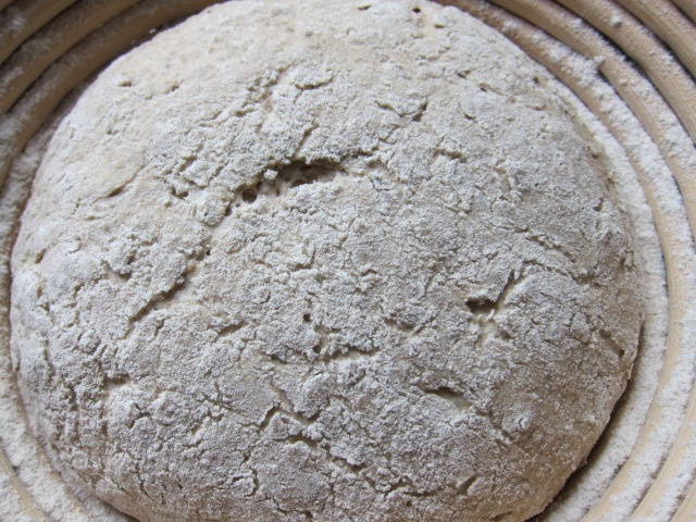 Ein Teig für Brot mit einer mehligen Oberfläche, vorbereitet in einem Gärkorb.