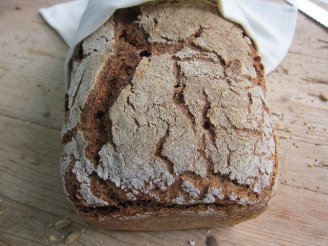 Ein rustikales Roggenbrot mit einer knusprigen Kruste, leicht mit einem Tuch bedeckt.