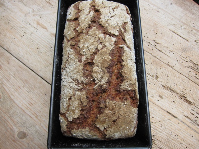 Ein frisch gebackenes Roggenbrot in einer Kastenform, mit einer rustikalen Kruste und einer hellen Mehlschicht obendrauf.