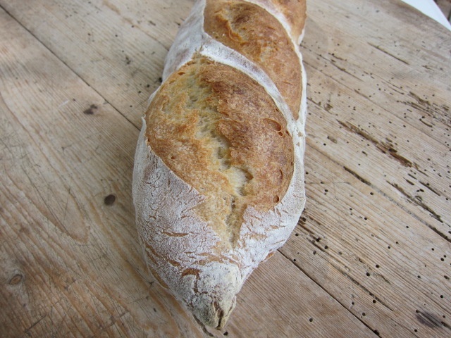 Eine frisch gebackene Ciabatta mit einer knusprigen Kruste und einer weichen, luftigen Textur, auf einem Holztisch platziert.