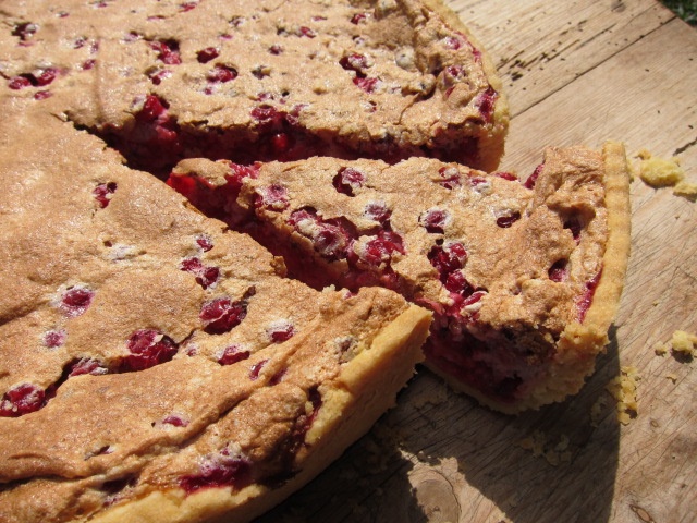 Ein Rhabarberkuchen mit einer goldbraunen, knusprigen Oberfläche und roten Rhabarberstücken, auf einem Holzbrett geschnitten.