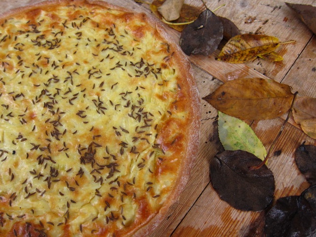 Ein geriebener Zwiebelkuchen mit Kümmel auf einem Holzuntergrund, umgeben von trockenen Blättern.