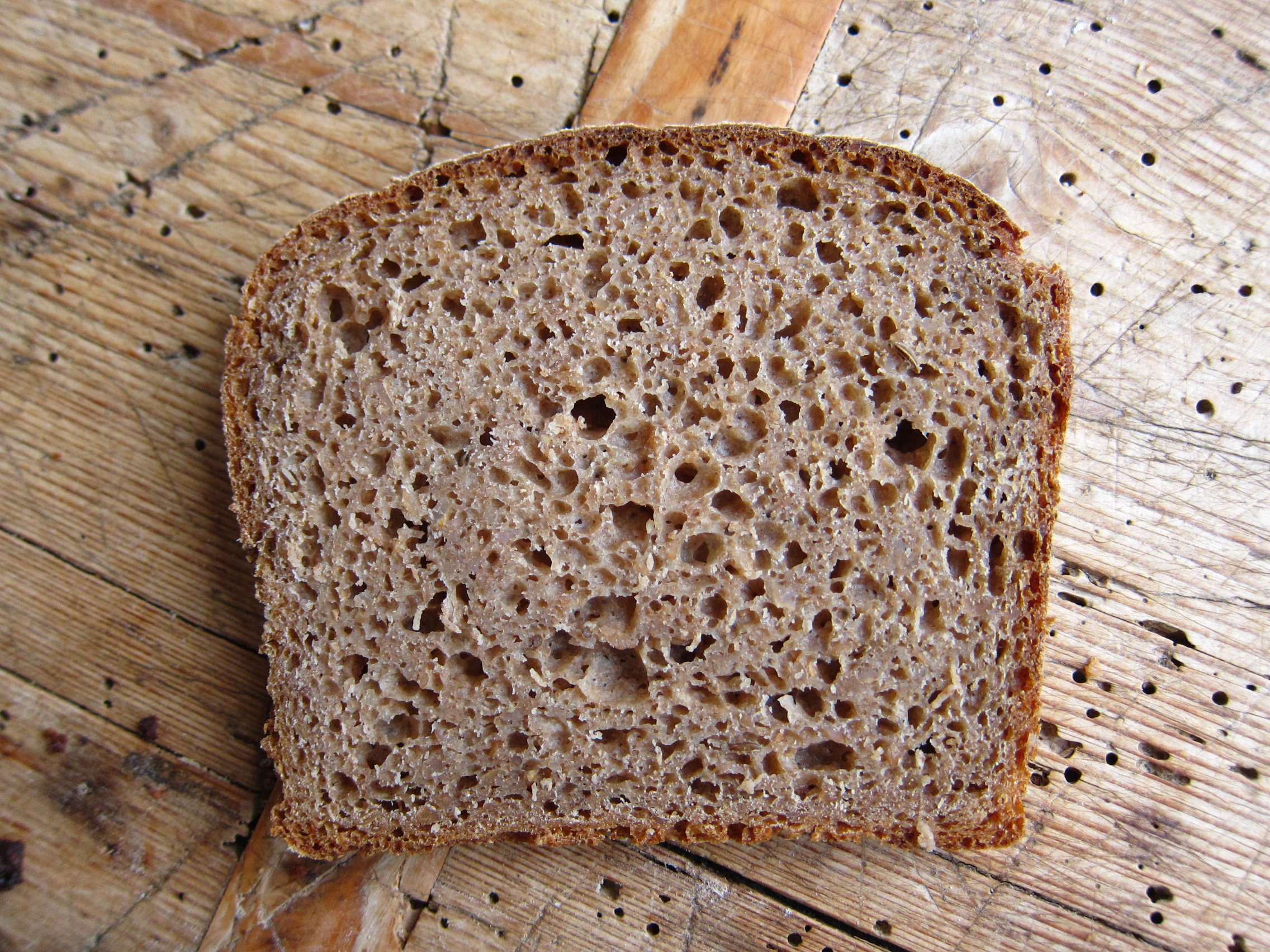 Scheibe von einem Roggenvollkornbrot mit einer luftigen, grobporigen Struktur auf einer Holzoberfläche.