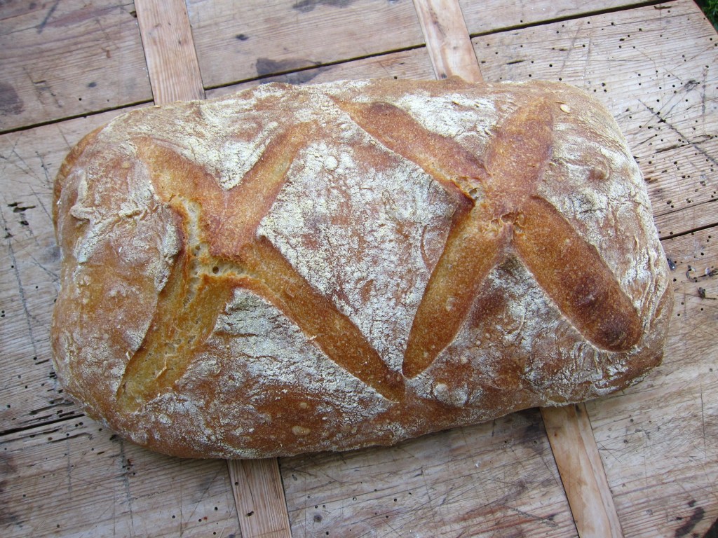 Ein frisch gebackenes Brot mit einer goldenen Kruste und typischen Einschneidungen auf der Oberseite, platziert auf einem rustikalen Holzuntergrund.