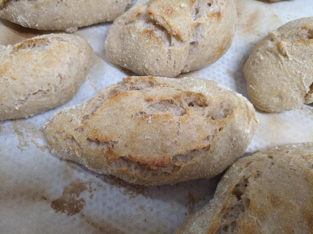 Frisch gebackene Dinkelbrötchen mit einer groben Kruste und einem rustikalen Aussehen, auf einem Backblech.