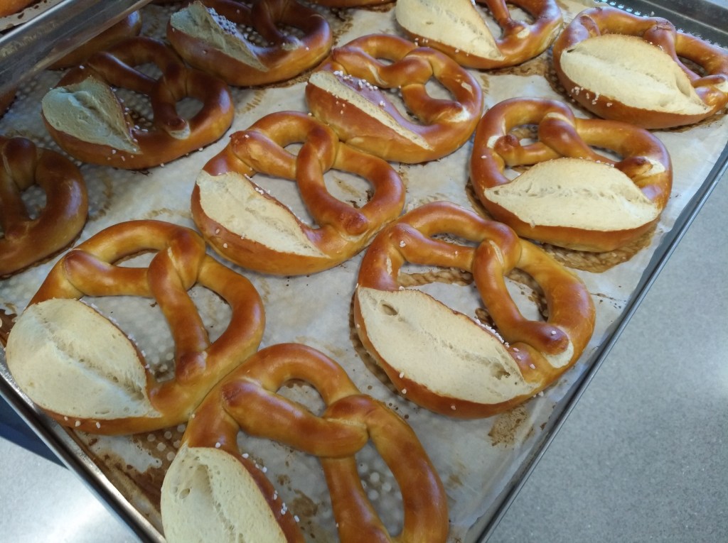 Frische Laugenbrezeln, goldbraun gebacken, auf einem Backblech.