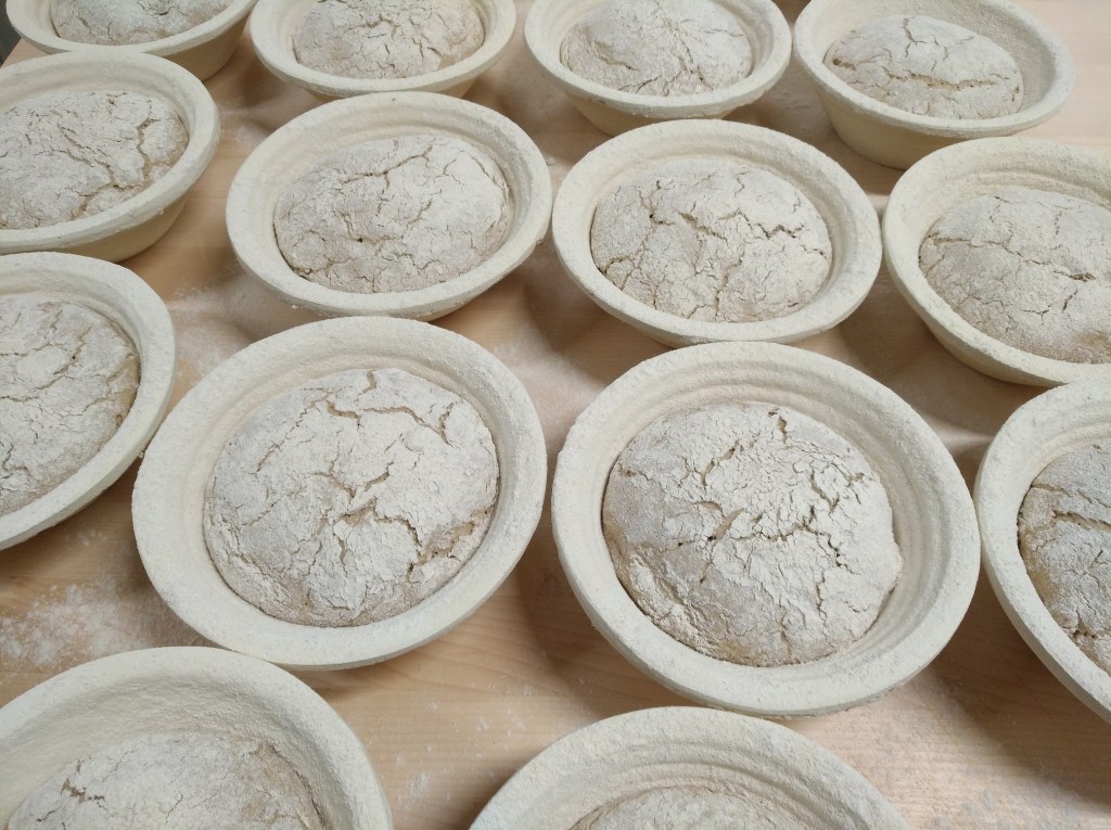 Mehrere runde Teiglinge in weißen Backformen, umgeben von Mehl, auf einem Holzuntergrund.