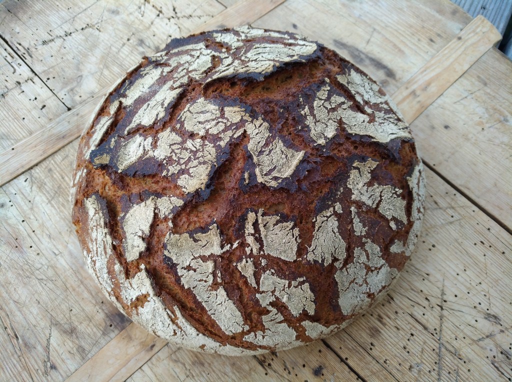 Ein frisch gebackenes Brot mit einer knusprigen, goldenen Kruste und rissiger Oberfläche, auf einem Holzbrett platziert.