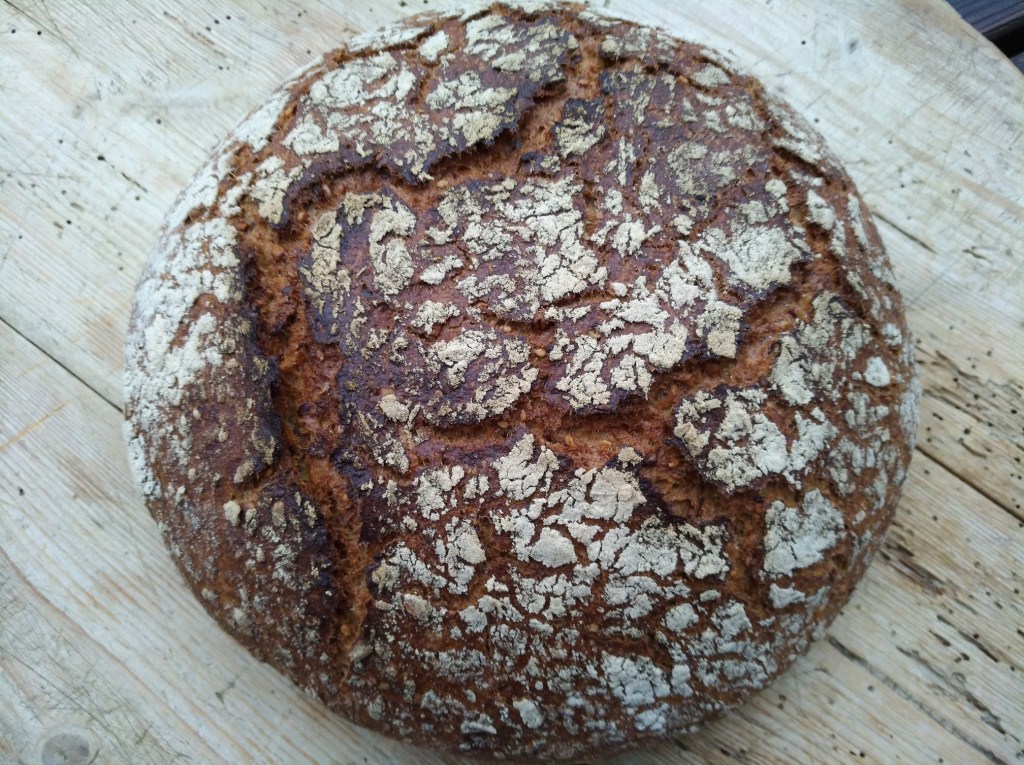 Roggenbrot mit einer knusprigen und rissigen Kruste, auf einem Holzuntergrund platziert.