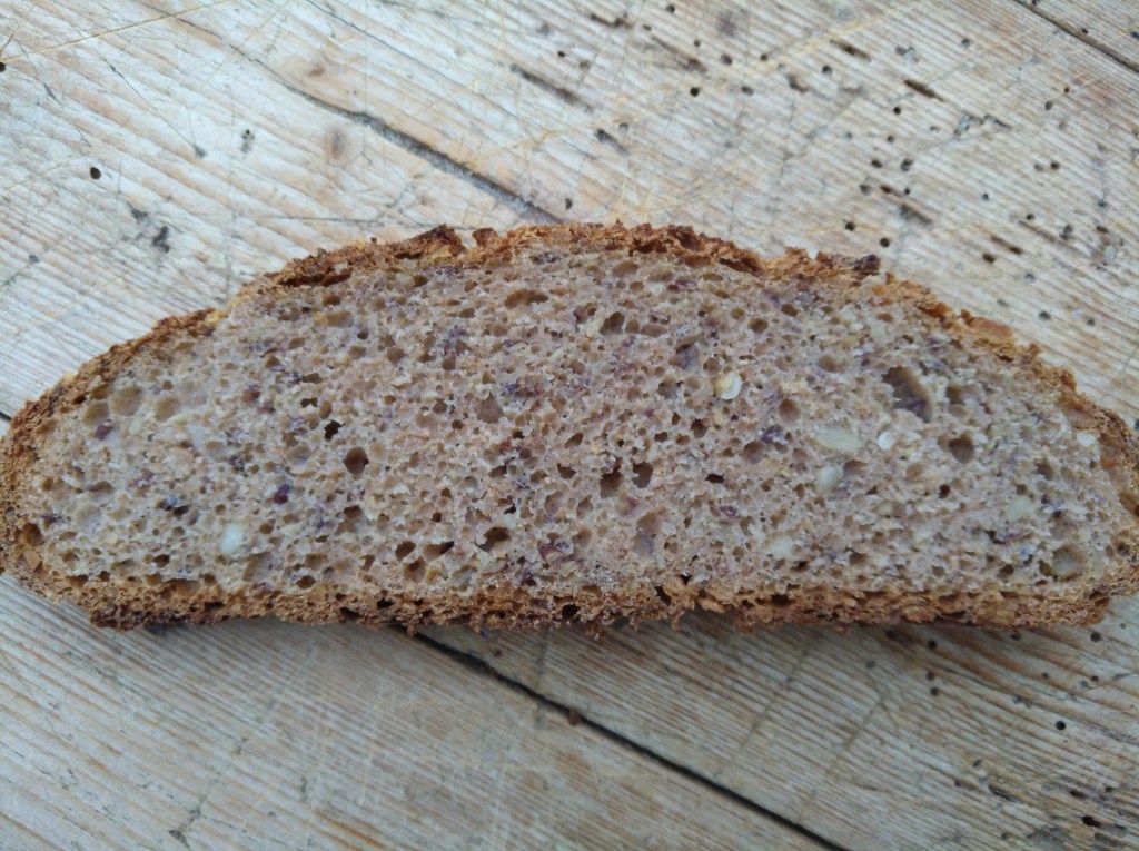 Sliced piece of dark, dense bread with a textured crust, showing mixed seeds and grains in the light brown crumb.