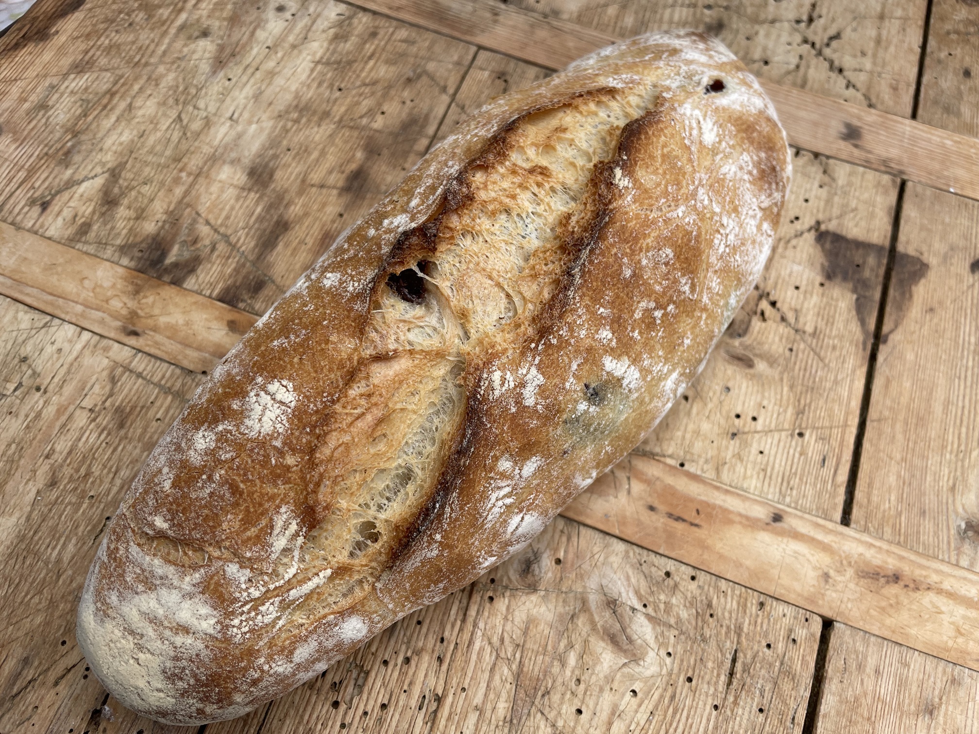 Perfektes Ciabatta backen: So gelingt das Rezept